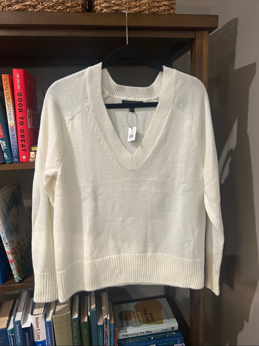 Banana Republic Ivory V-Neck Sweater